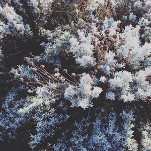 OBJECTS FOREVER / 09th April 2021