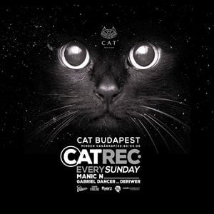 The Cat  Club Budapest 