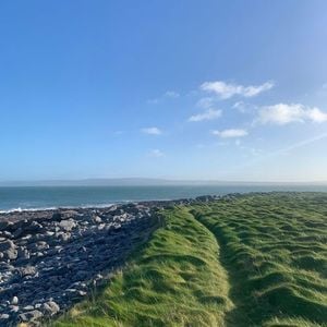 City of Synths Ep. 12