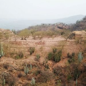 RecuperaciÃ³n de la zona arqueolÃ³gica de Quiotepec. Estamos recuperando nuestro patrimonio cultural