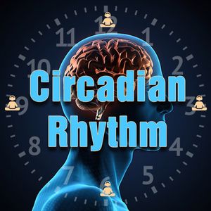 Circadian Rhythm