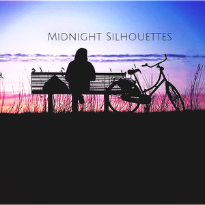 Midnight Silhouettes 12-26-21