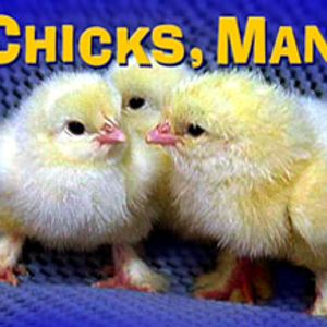 Radio EdSoft Films - 41.1 Chicks, Man