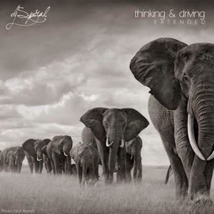 Thinking & Driving (Extended) (2015)