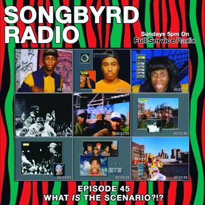 SongByrd Radio - Episode 45 - What Is The Scenario?!?