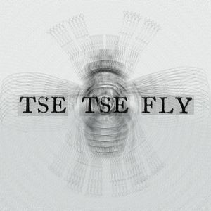 Tse Tse Fly DJ set - Other Worlds Festival 2016