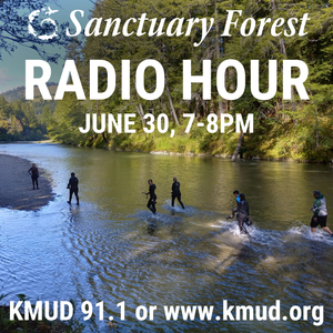 Sanctuary Forest Radio Hour 6/30/22