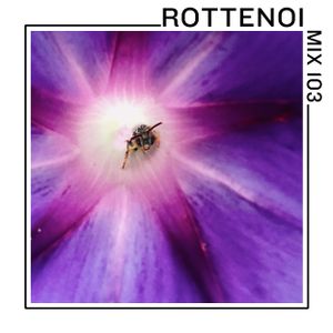 Mix 103: ROTTENOI