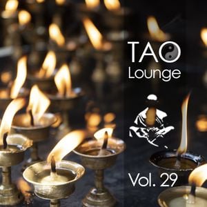 Cover art for TAO Lounge 29 by TAOLounge