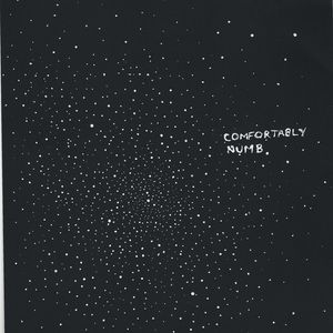 Pink Floyd Comfortably Numb Unreleased Long Island Ny