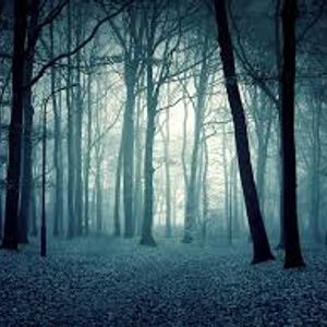 Featured image of post View 12 Anime Mystical Dark Forest