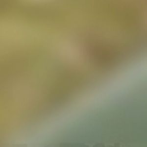 Music: KRKRKR #2 - 21.10.2020