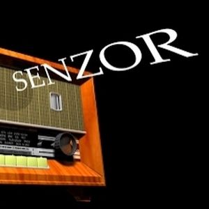 Senzor AM 548