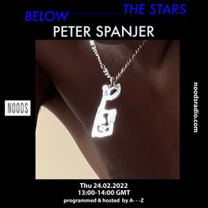 The Stars Below 10 W/ Peter Spanjer