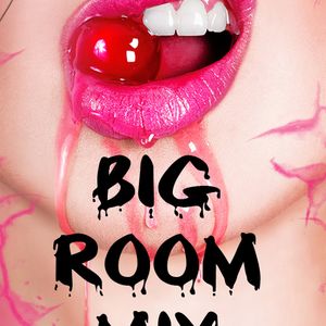 Big Room Mix 117