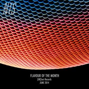 Flavour Of The Month - (iN)Sect Records Special - 120614