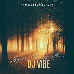 DJ ViBE - Musica Para El Alma (2020 Promotional Mix)
