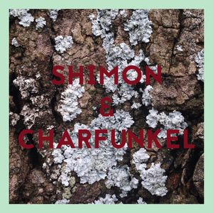 Shimon & Charfunkel