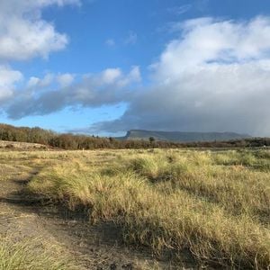 City of Synths Ep. 11