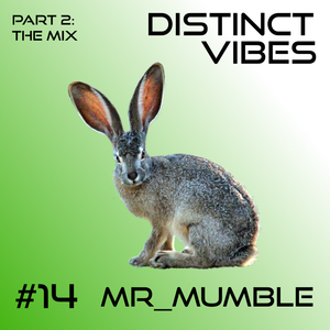Distinct Vibes #14 Part Two: Mr_Mumble