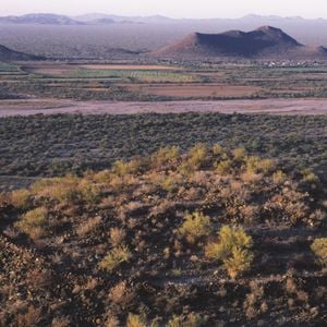 Las terrazas de cerro de trincheras