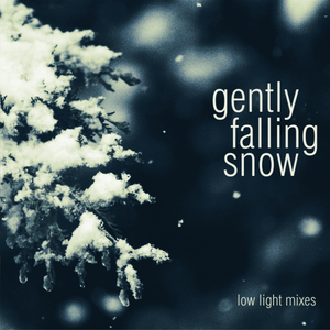 gently falling snow