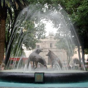 Paseos culturales: Barrio de Coyoacán