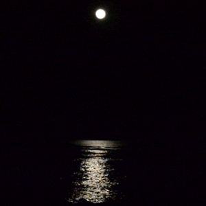 Cover art for The moon plays the ocean like a violin by lowlight