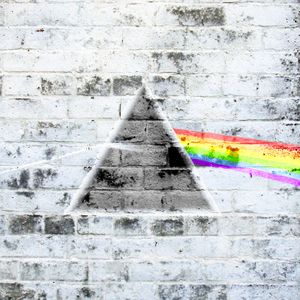 weird fish pink floyd