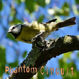 Phantom Circuit #362 - with a session by Covolux for summer 2022