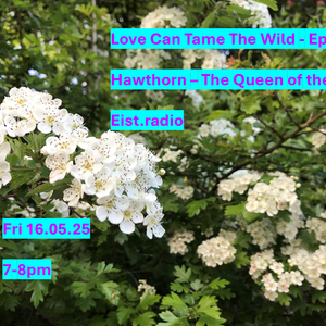 Love Can Tame the Wild Ep4 Hawthorn - The Queen of the May