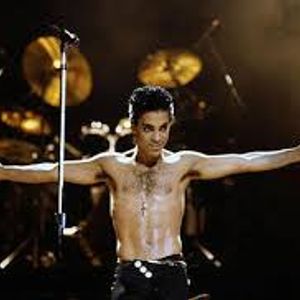 Image result for prince parade tour