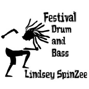 Festival Drum and Bass by LinZee SpinZee | Mixcloud