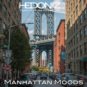 Manhattan Moods (Funky Disco Mix)