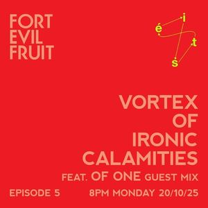 Vortex of Ironic Calamities Ep. 5