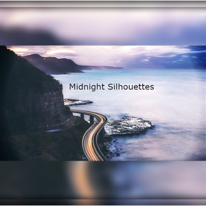 Midnight Silhouettes 1-24-21