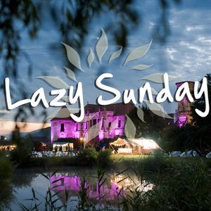 Tudor Mircean - Lazy Sunday 26