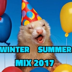 Cover art for Winter Summer Mix 2017 by WinterSC