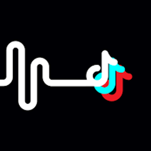 Jesse The Best Of Tiktok Remix 2020 Episode 3 Thai Break Mix By Electric Orgy Radio Mixcloud Pp 2020 logo by theyellowone3. jesse the best of tiktok remix 2020