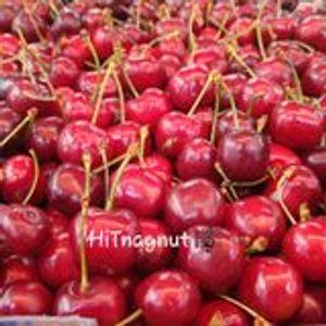 Hitnagnut 4 27 5 Mp3 By רבותtהי Hitarbut Mixcloud