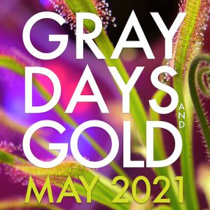 Gray Days and Gold - May 2021