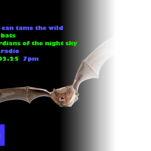 love can tame the wild ep1 bats