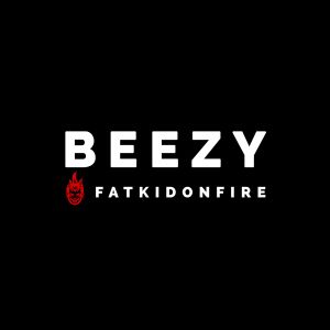 Beezy x FatKidOnFire mix