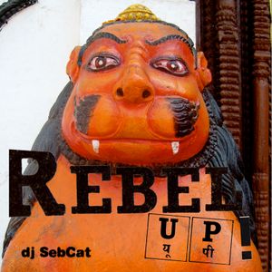 Rebel Up @ Radio Panik La8 mix part 1