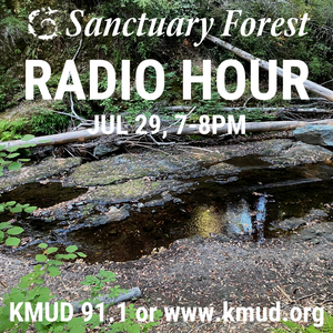 Sanctuary Forest Radio Hour 7/29/21