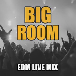Bigroom Never Dies Animio Live Mix By Animio Mixcloud mixcloud