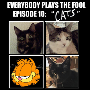 Everybody Plays the Fool, Episode 10: "Cats"
