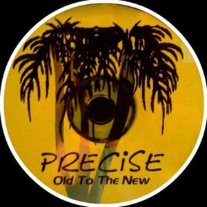 DJ Precise " Reggae " Old 2 Da New