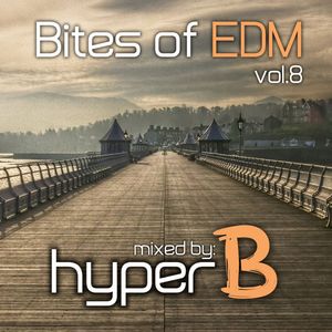 Bites of EDM vol. 8 (Valentine's Deep House Mix)
