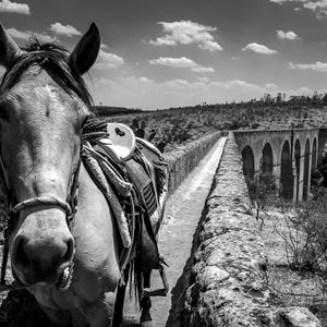 Paseos culturales: Huichapan